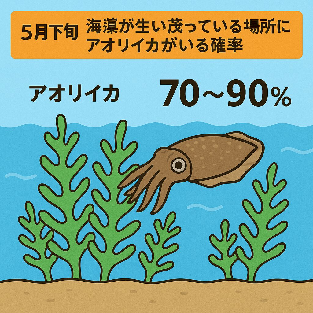 海藻が生い茂っているところは、アオリイカがいる確率もかなり高い。釣太郎