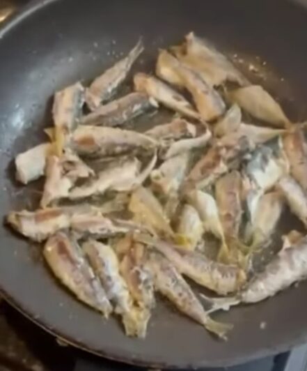 サバは「小さい方がうまい」と言われることがある！釣太郎