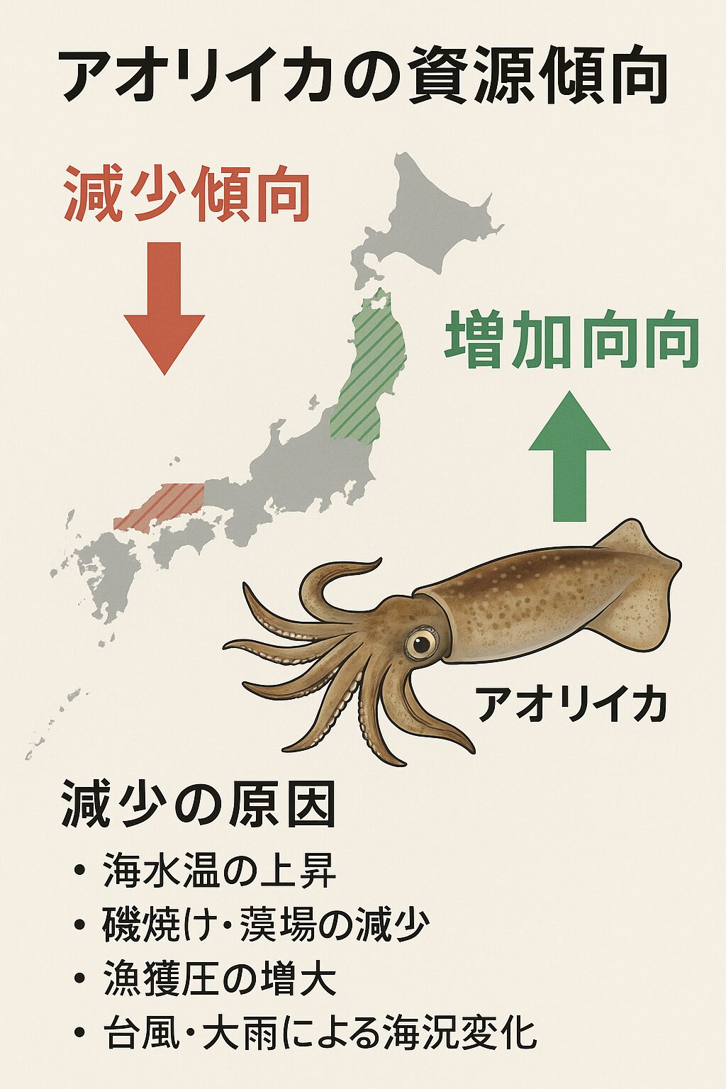アオリイカは全国的に見ると「地域によって減少傾向と増加傾向が分かれている」釣太郎