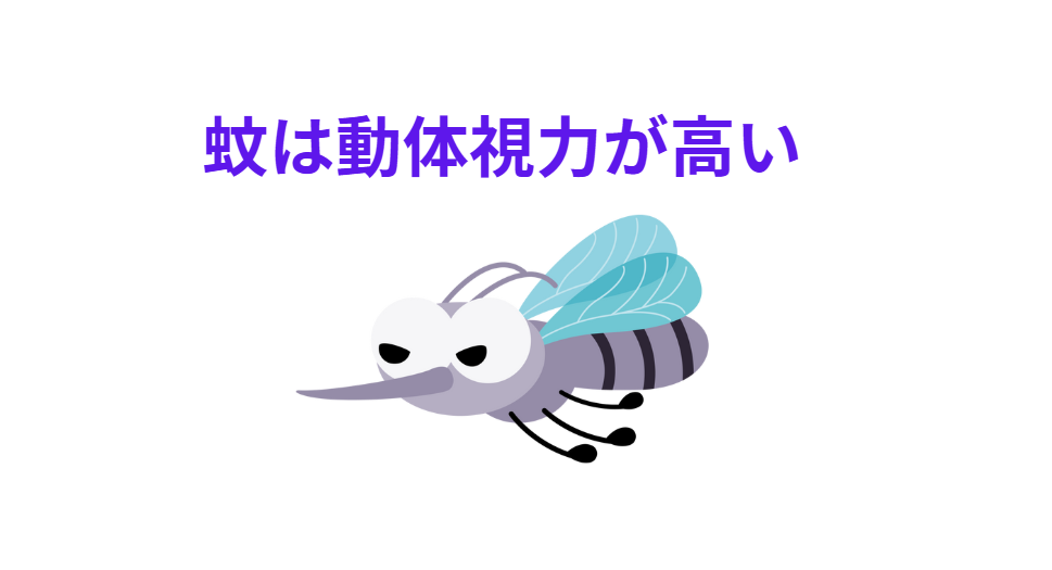 蚊の複眼は、小さなレンズ(個眼:こがん)が多数集まってできています。釣太郎