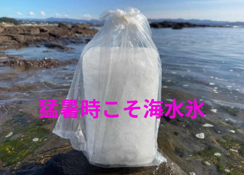 魚冷却は猛暑時こそ海水氷がベスト。釣太郎