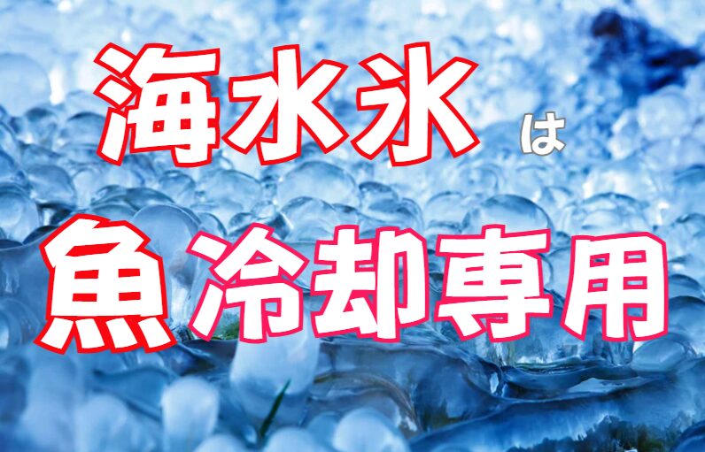 海の魚を冷やすなら、真水で作った氷より、海水をこらせた海水氷がおすすめ。釣太郎