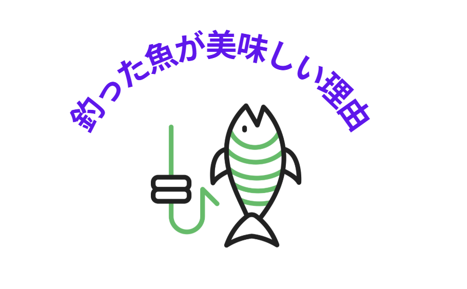 釣った魚が美味しく感じる理由説明。釣太郎