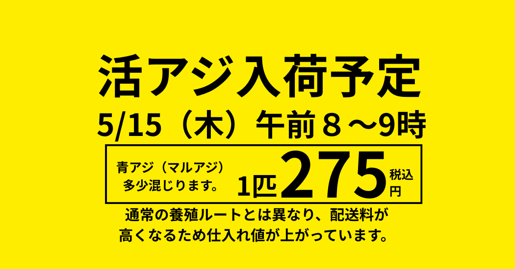 活アジ5/15(木)入荷予定。1匹275円(税込)。アオリイカ釣りえさ。釣太郎