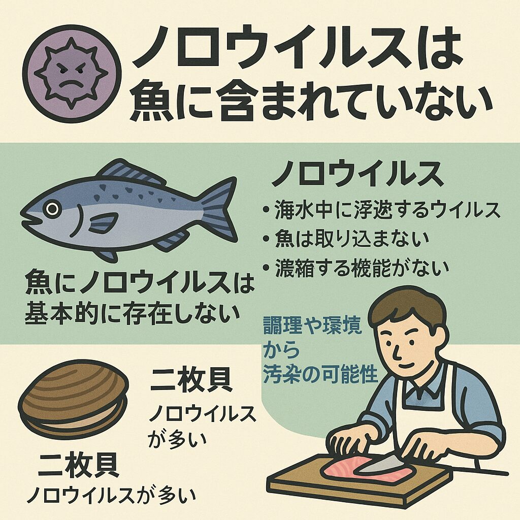 「魚＝ノロウイルス感染源」という心配は不要。貝類のみに限定される。釣太郎