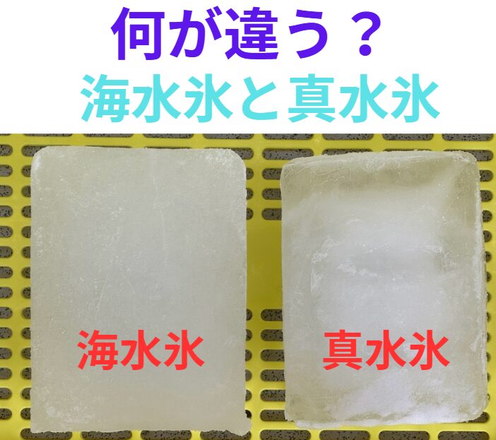 魚の鮮度をしっかりキープし、美味しさを維持するなら、海水氷の活用がマスト。釣太郎