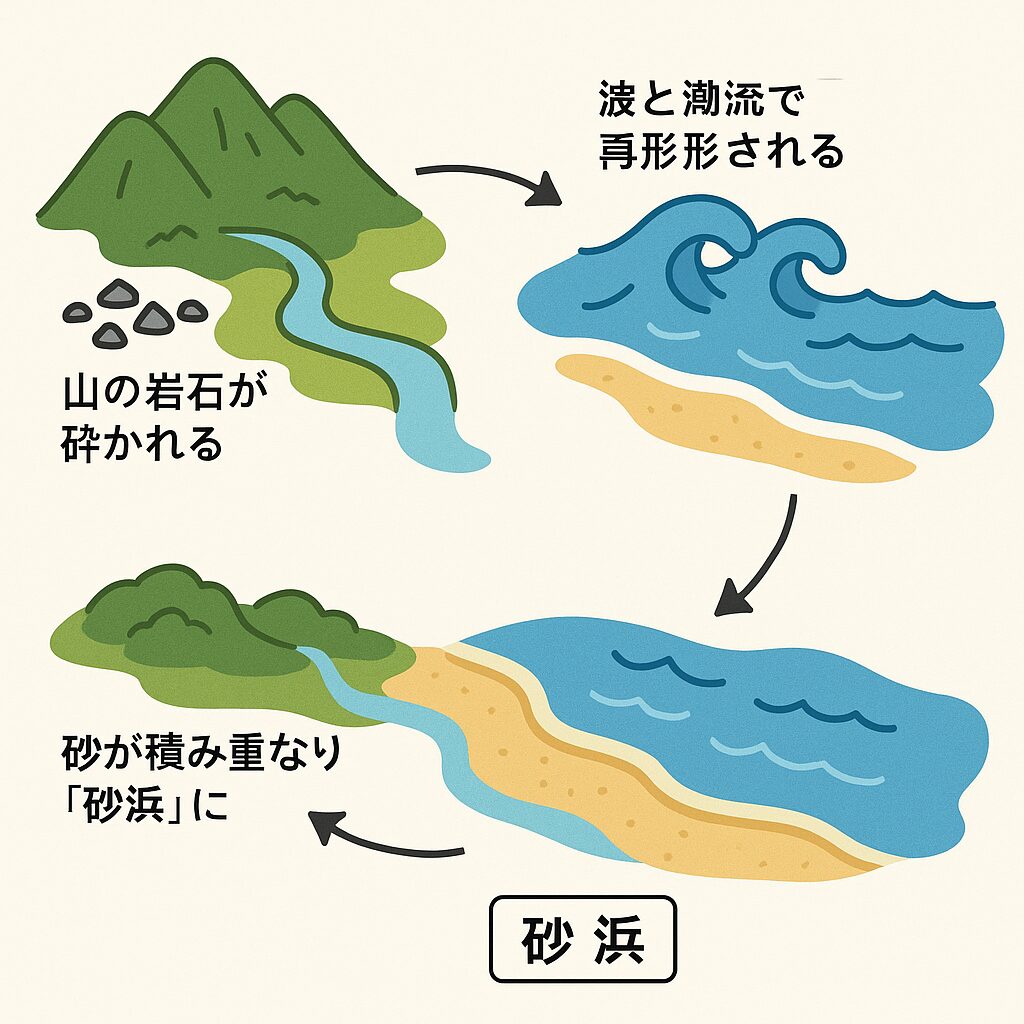 砂浜ができるまで ~何気ないビーチの足元には、壮大な地球の営みがある~。釣太郎