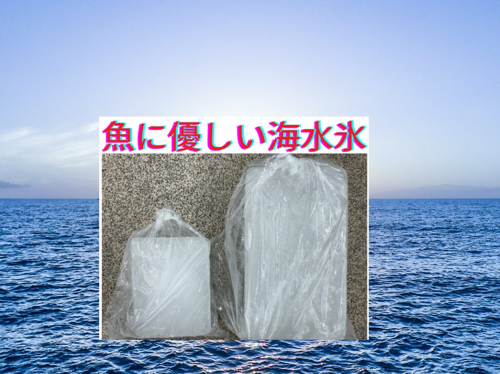 【浸透圧の魔法で「細胞美人」に保つ氷】釣太郎の海水氷は１キロと３キロ。