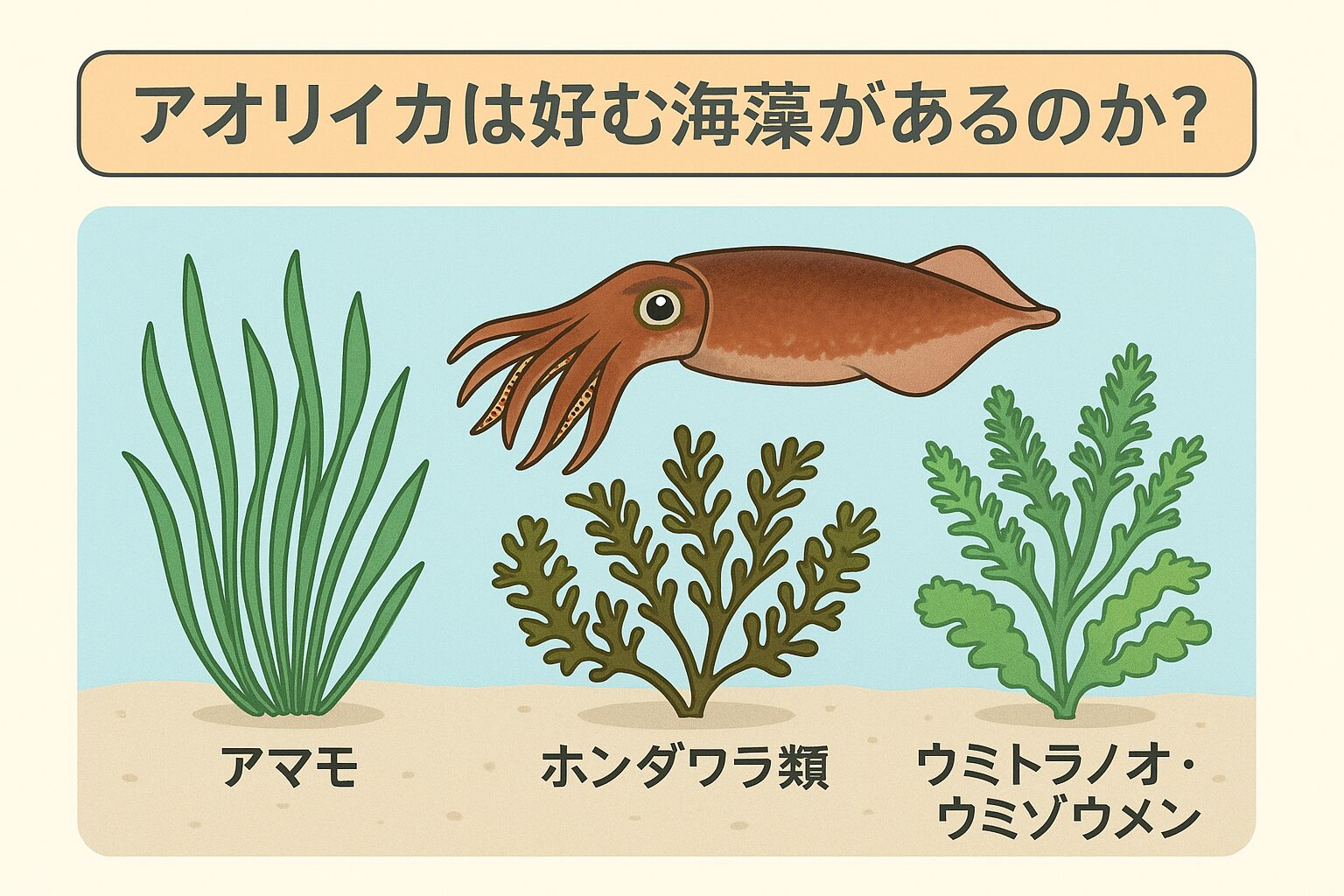 アオリイカが海藻を好むのは、以下のような理由からです。外敵から身を隠すシェルターとして最適。小魚や甲殻類などエサが豊富に集まる。産卵に必要な「卵を産みつける場所」になる。釣太郎