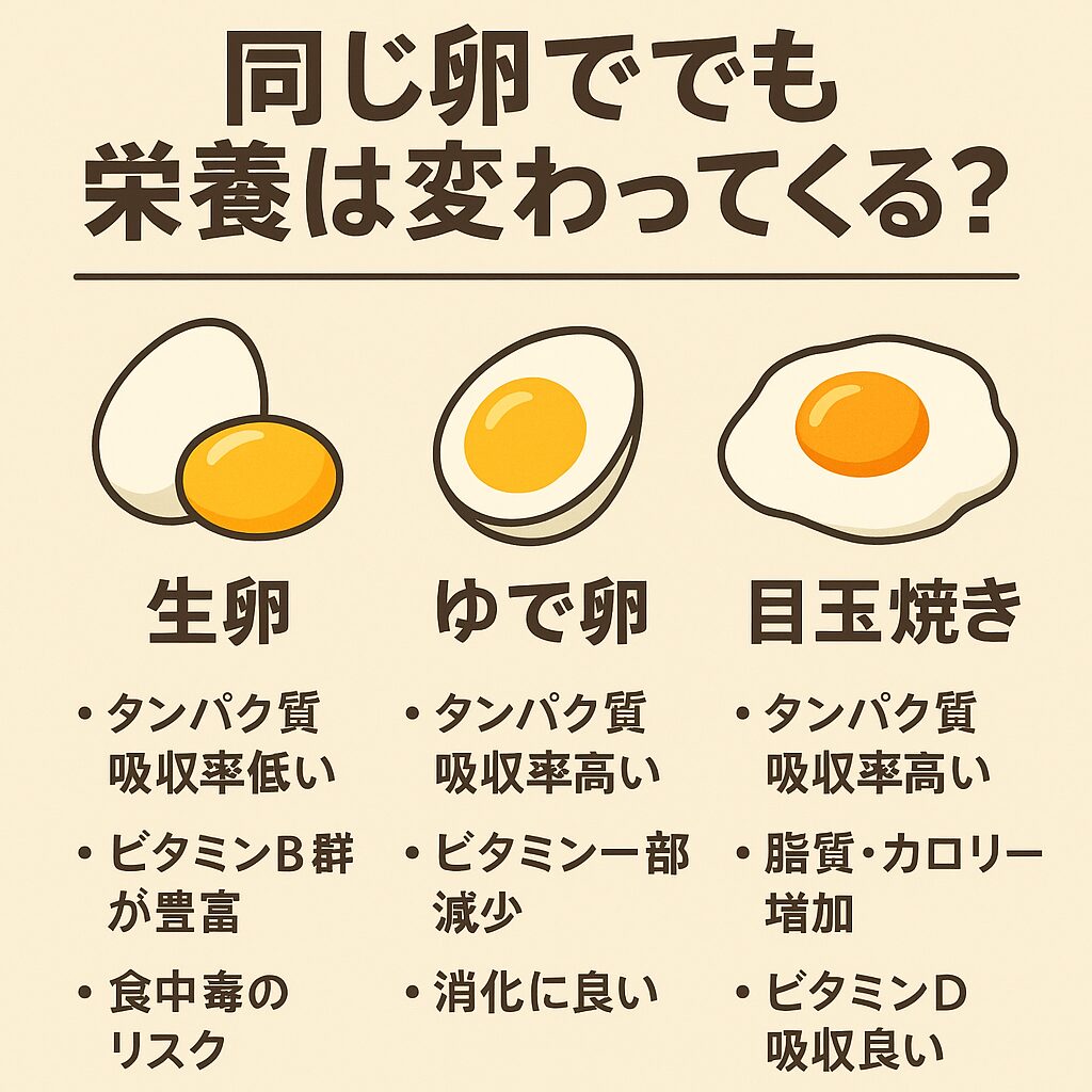 「卵は完全栄養食品」とよく言われますが、 調理方法によって栄養が変化します。釣太郎
