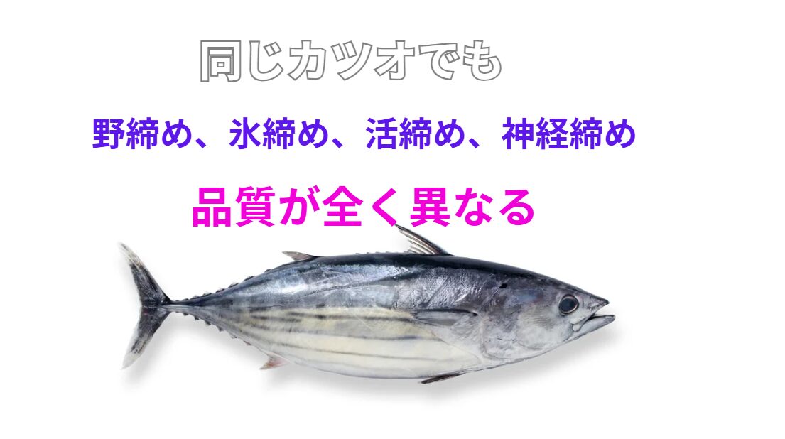 【カツオの品質を徹底比較】野締め、氷締め、活締め、神経締め…驚きの数値で鮮度の差が違う。釣太郎