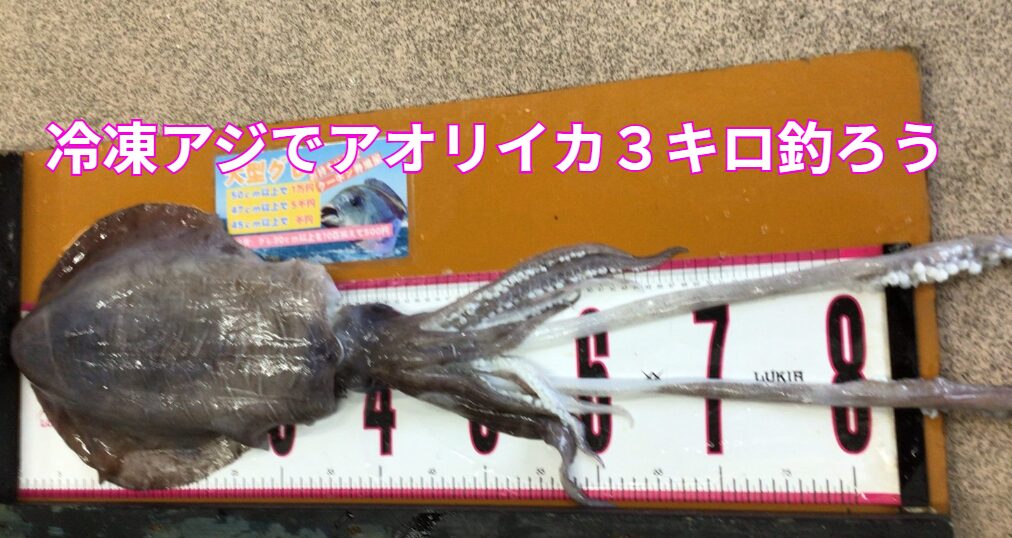冷凍アジでアオリイカ3キロ釣ろう。釣太郎