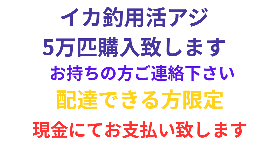 アオリイカ釣り用活アジ、現金にて5万匹購入します。釣太郎