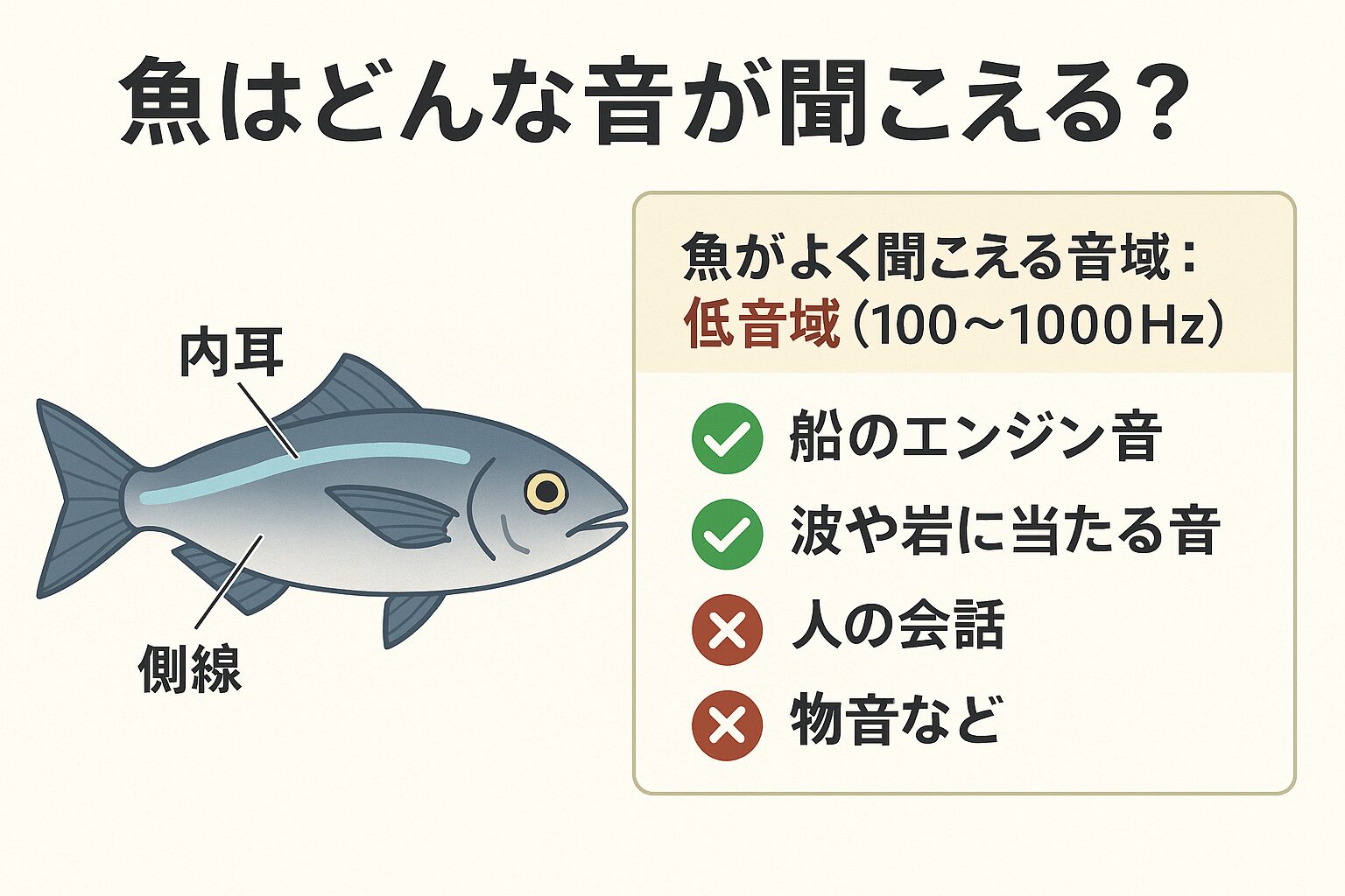 魚が聞き取れる音の多くは、100~1000Hz程度の低音域。これは、太鼓のような「ドン」「ゴン」という響きに近い音。釣太郎