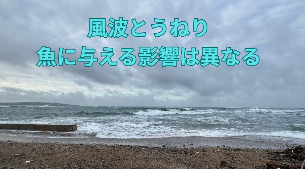 風波とうねり、それぞれが魚に与える影響は異なります。釣太郎