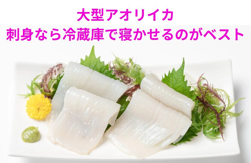 刺身の場合、3キロという特大アオリイカの場合、一部を冷蔵で短期熟成させるのがベスト。釣太郎