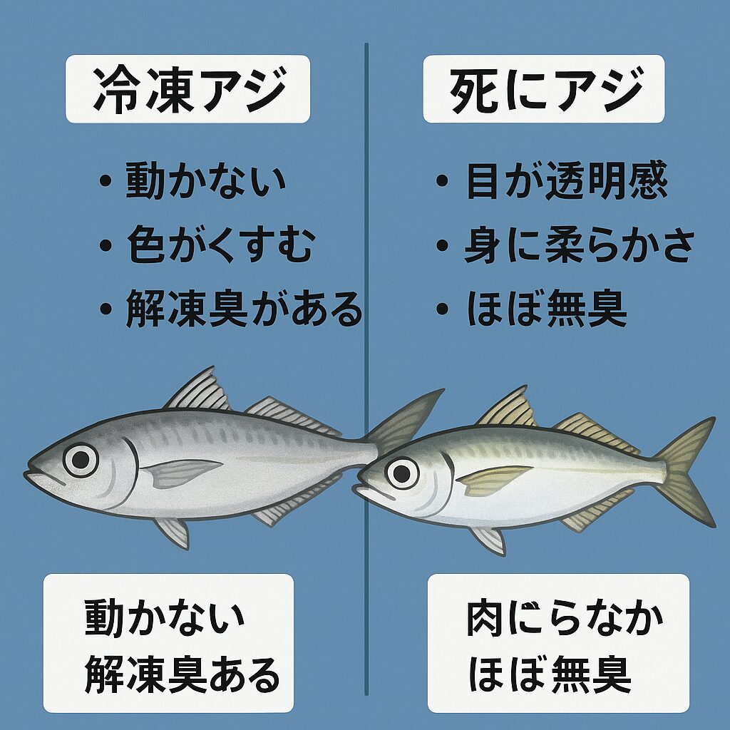 アオリイカ・ウキ、ヤエン釣りにおける「冷凍アジ」と「死にアジ」の違い説明。釣太郎