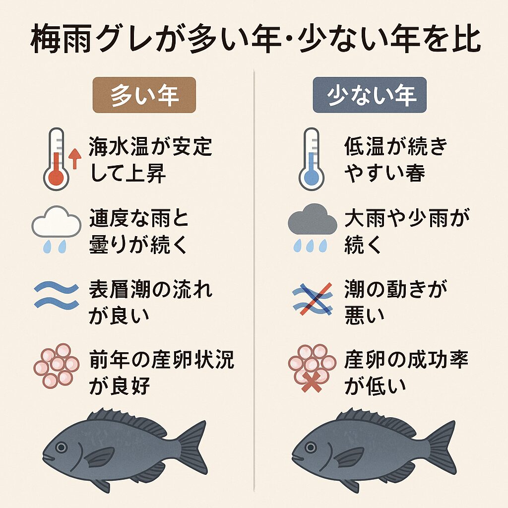梅雨グレ当たり年・外れ年の比較。フカセ釣り入門。釣太郎