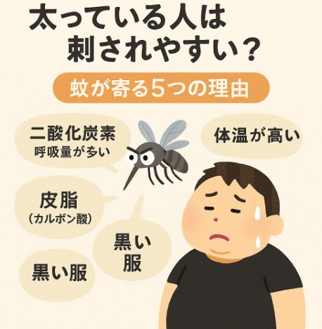 太っている人は刺されやすい?蚊が寄る5つの理由。釣太郎