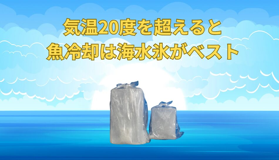 気温が20度を超えると、魚を冷やすのは真水氷より海水氷が有効。釣太郎
