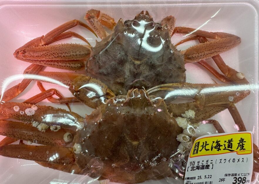 せこガニとは？正式には「ズワイガニのメス」。釣太郎
