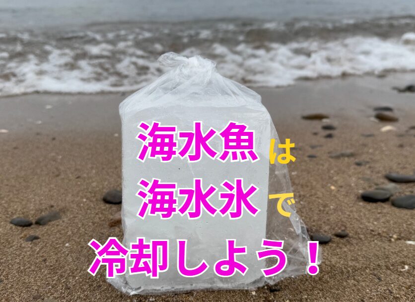 真水氷よりも海水氷(塩氷)を使用した方が、魚の食中毒の確率を幾分か減らせる可能性があります。釣太郎