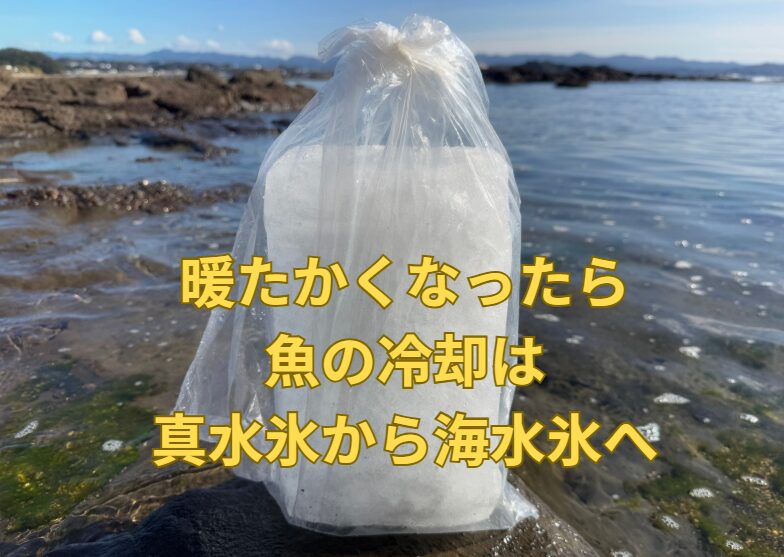 気温20℃超えで「海水氷」が断然有利な科学的な理由。釣太郎