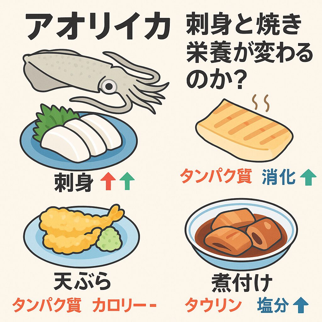 アオリイカの栄養は“調理法しだい”で生かせる！釣太郎