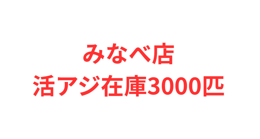 みなべ店、イカエ時在庫3000匹のみ。釣太郎