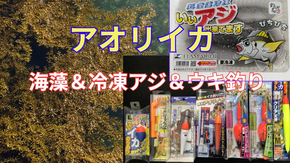 海藻シーズンに冷凍アジ×ウキ釣りが最強。釣太郎