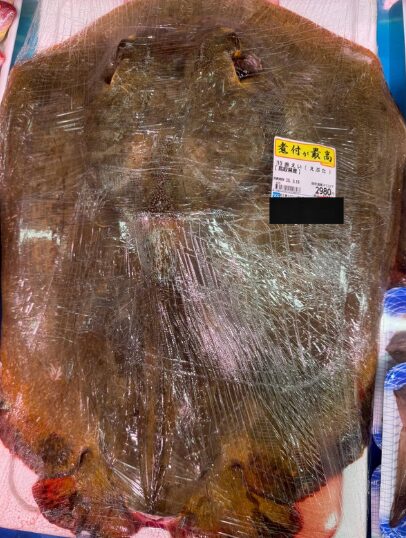 南紀地方の漁港内はアカエイの巣窟化しています。釣太郎