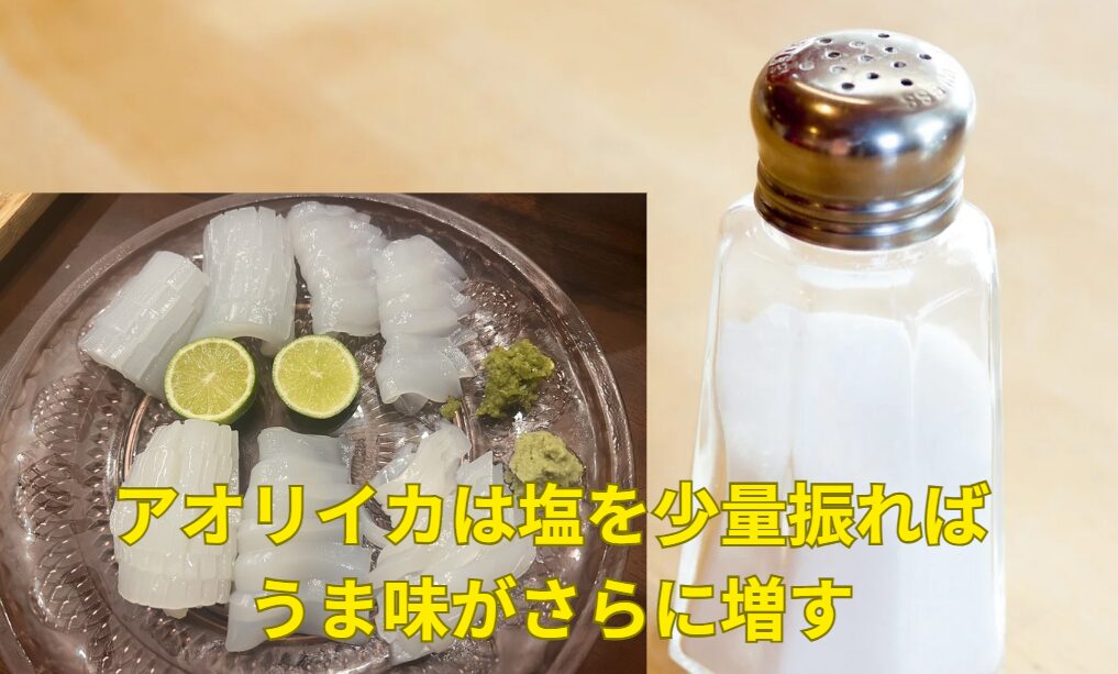 アオリイカ刺身は塩で締めるべし！水分を制する者が旨味を制す。釣太郎