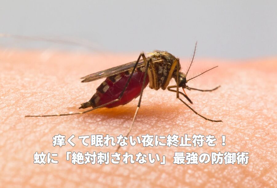 痒くて眠れない夜に終止符を！蚊に「絶対刺されない」最強の防御術。釣太郎