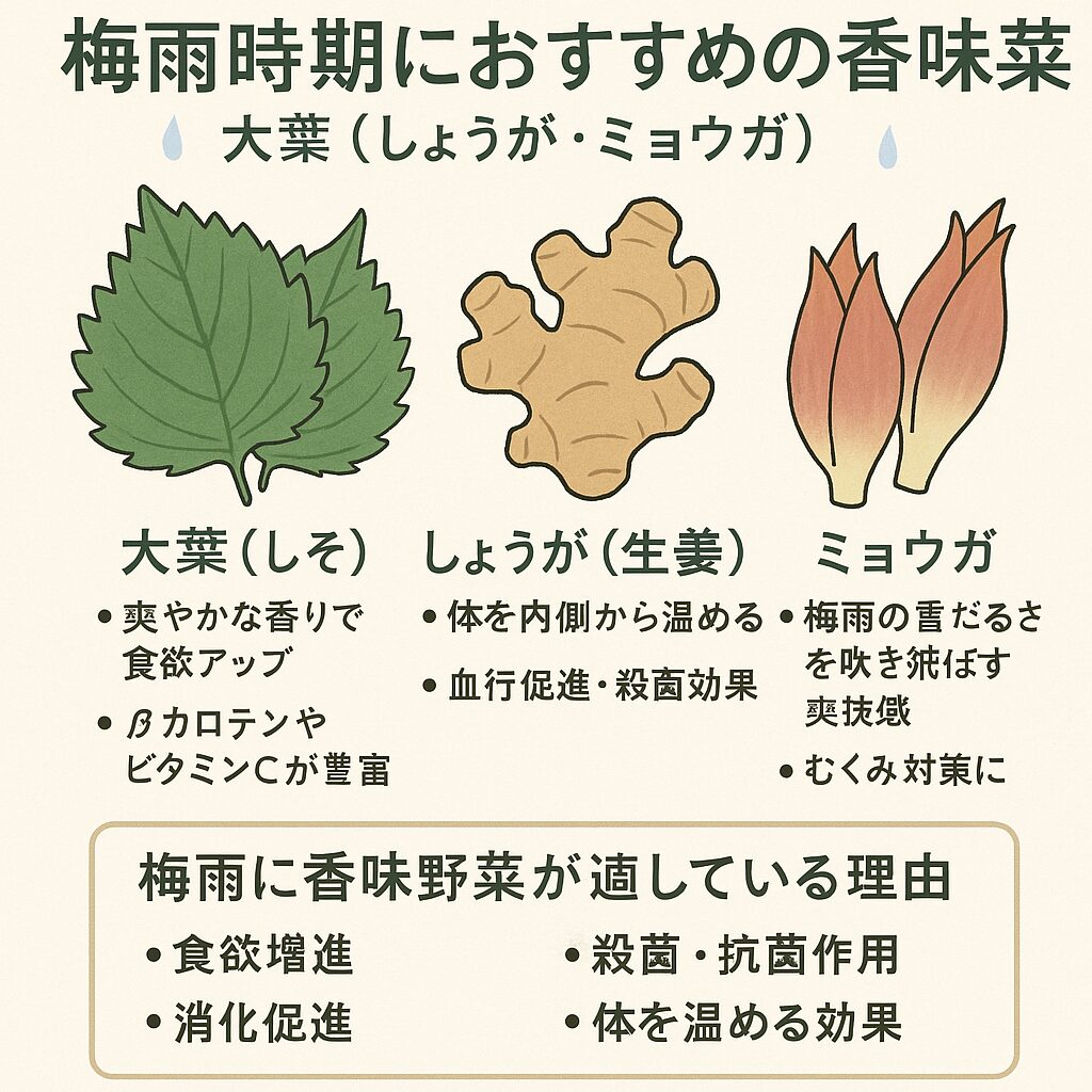 香味野菜で梅雨を健やかに乗り切ろう。効能紹介。釣太郎
