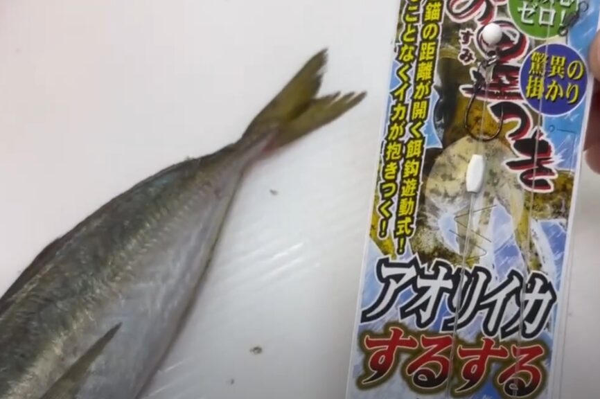 ウキ釣りなら冷凍アジでもアオリイカが釣れます。海藻が多いところもOK。釣太郎