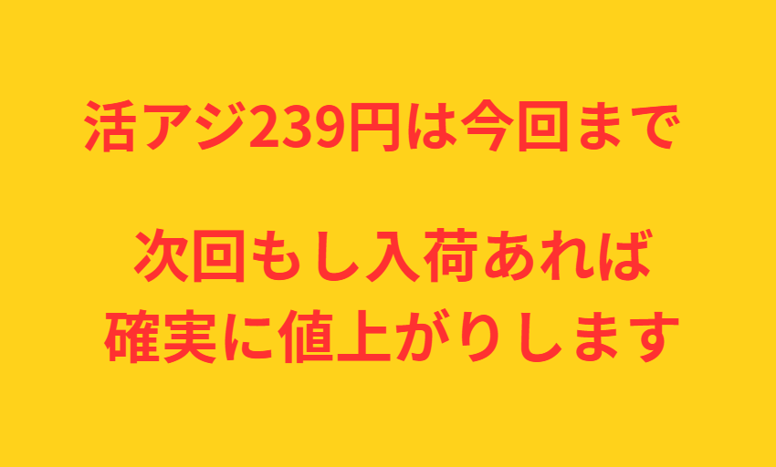 アオリイカ釣りえさ活アジ値上がりします。釣太郎