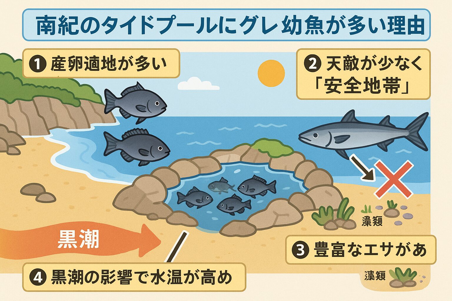南紀のタイドプールは「グレの楽園」。釣太郎