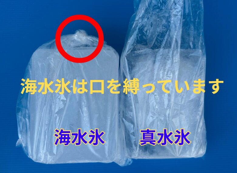 アオリイカ、魚の冷却に最適な海水氷は、食中毒予防にも効果的。釣太郎