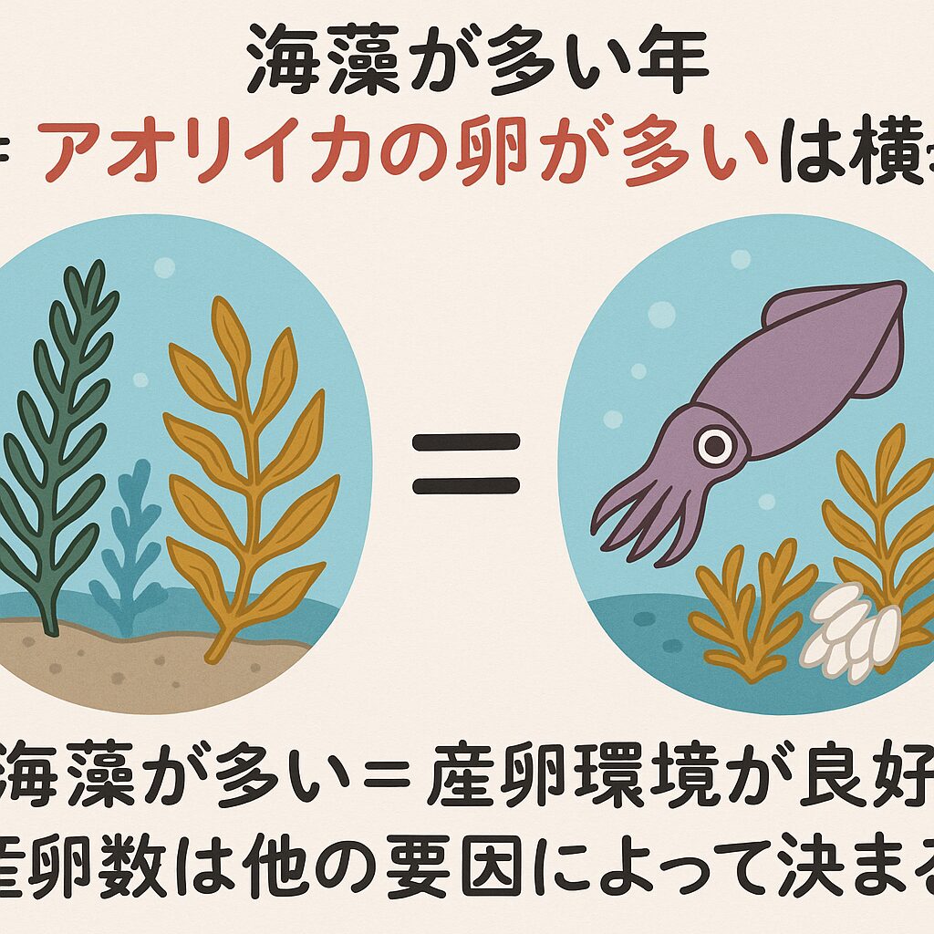 海藻は“条件”であって“決定因子”ではない アオリイカは海藻や海草に卵を産みつけるため、確かに藻場が豊富な年は産卵場として好条件です。 しかし、海藻の多さ＝卵の多さではありません。釣太郎