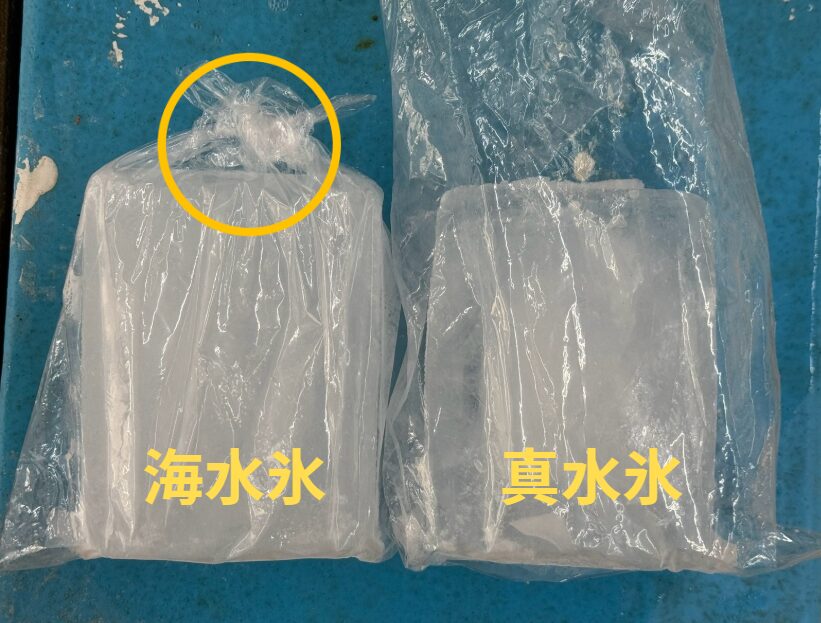 釣り魚を冷やすなら海水氷がいい理由。釣太郎