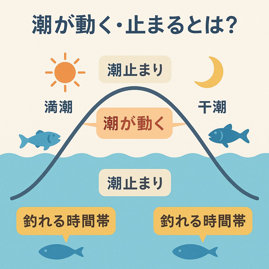 釣り初心者に向けて「潮が動く・止まるとは何か？」「なぜ釣果に差が出るのか？」を、やさしく解説します。釣太郎
