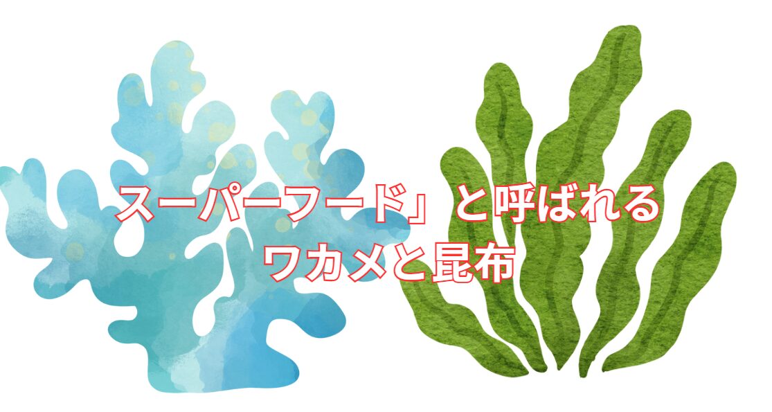 昆布とわかめがスーパーフードと呼ばれる理由説明。釣太郎