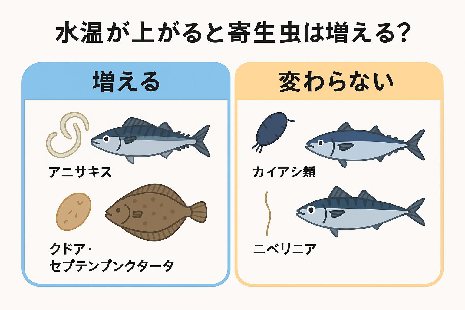 水温上昇と、天然魚の寄生虫の関係は無視できない！けど防げる！釣太郎