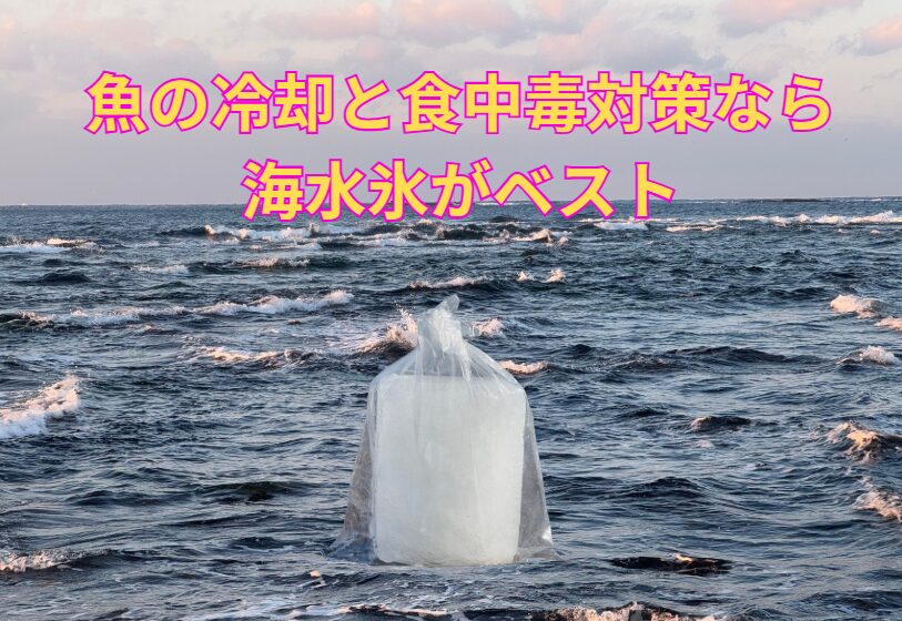 魚冷却と食中毒対策なら、海の水を凍らせた海水氷がベスト。釣太郎