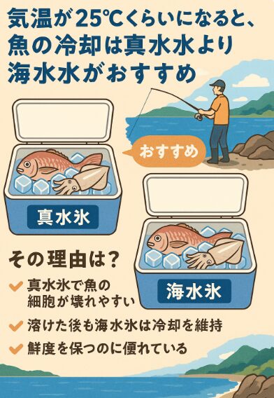 夏の釣りは、魚冷却は「海水氷」で鮮度&安全を守ろう!釣太郎