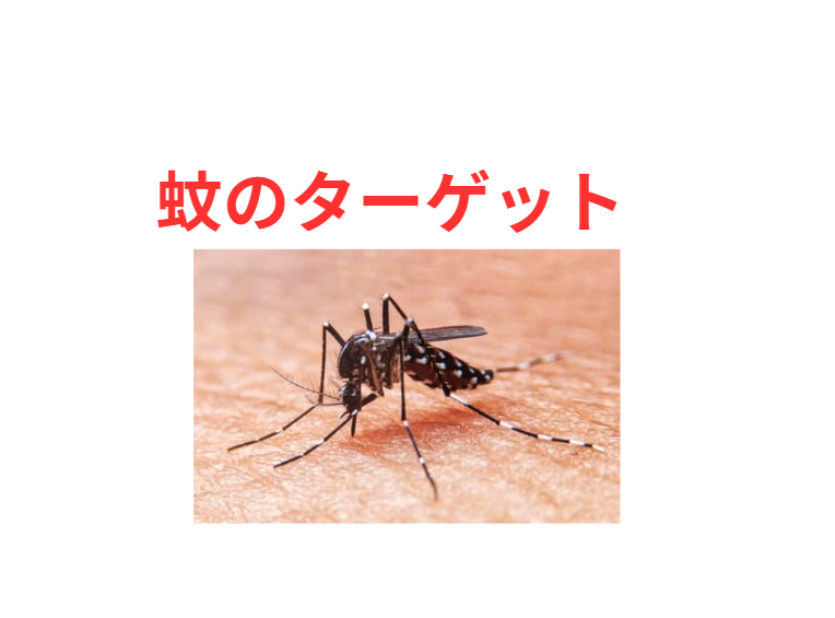 蚊があなたを狙う驚きの理由と究極の対策!釣太郎