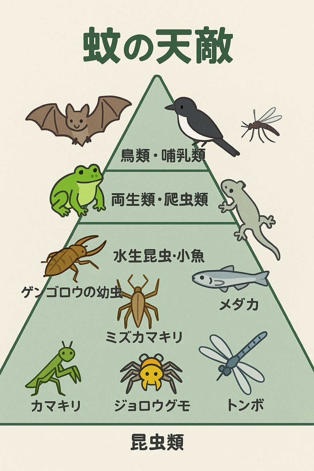 蚊は人間にとって厄介者ですが、自然界では多くの捕食者にとって重要な食料。釣太郎