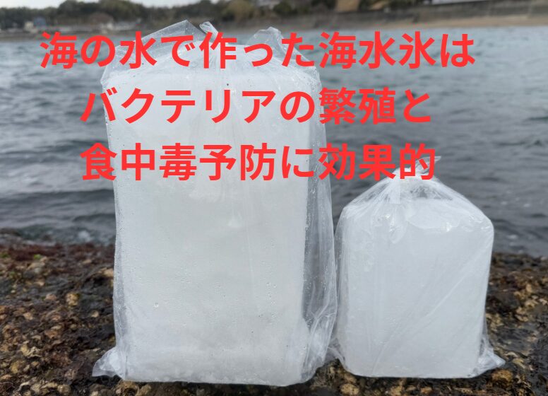 海水を凍らせて作った海水氷は、バクテリア繁殖防止と、食中毒防止に効果的。釣太郎