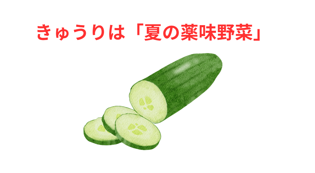 きゅうりは“涼と栄養”のどちらも兼ね備えた夏野菜!釣太郎