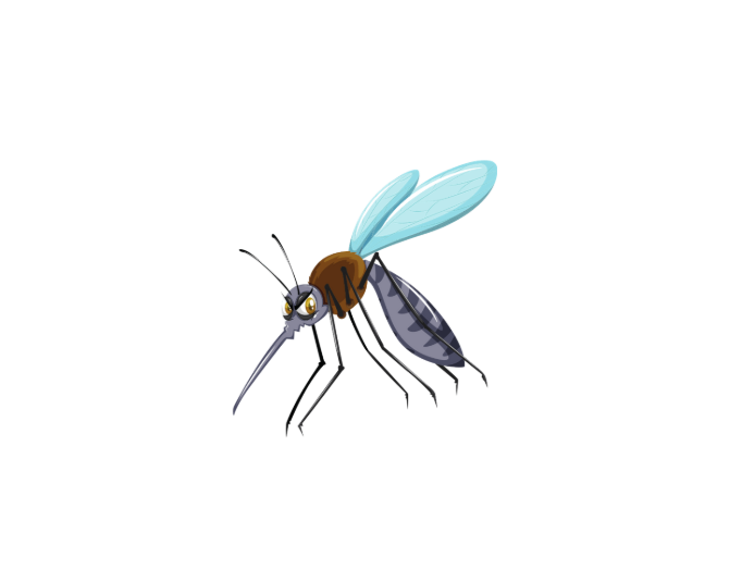 蚊は、血液をスムーズに吸い上げるために、同時に自身の唾液を体内に注入します。この唾液が、まさに痒みの真犯人.。釣太郎